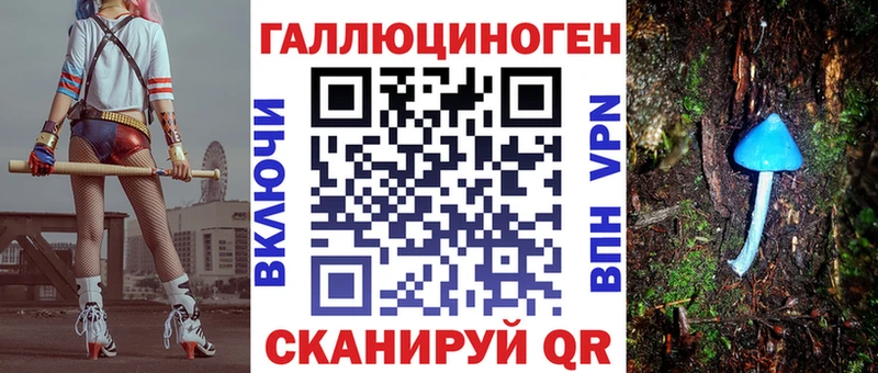 Галлюциногенные грибы Psilocybine cubensis Нефтегорск